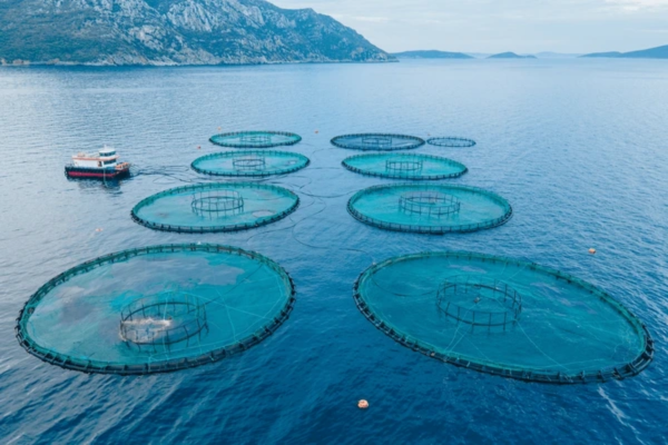 Aquaculture